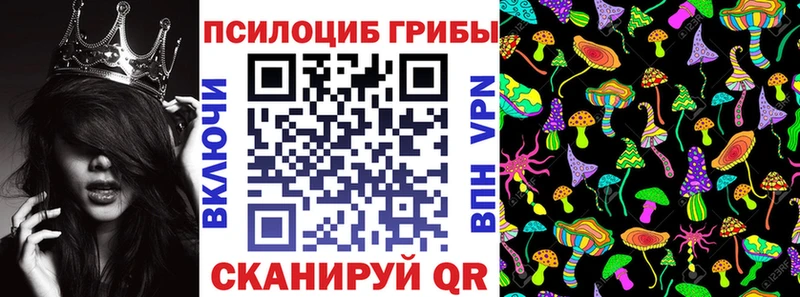 Купить  Нарткала  Галлюциногенные грибы мицелий 